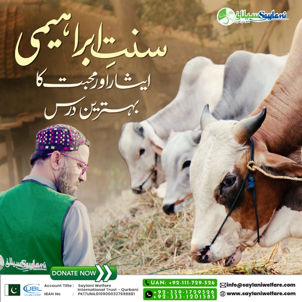 Saylani Qurbani 2025 Price Book Now - Step by Step Guide 1 Saylani Welfare Qurbani 2025