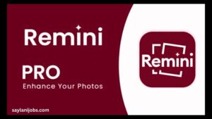 How to Get Remini Pro Easily